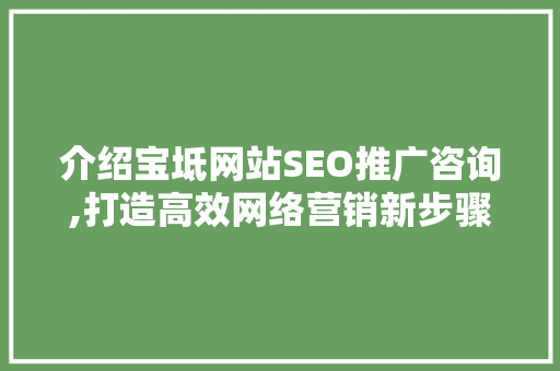 介绍宝坻网站SEO推广咨询,打造高效网络营销新步骤