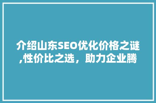 介绍山东SEO优化价格之谜,性价比之选，助力企业腾飞