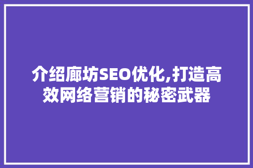 介绍廊坊SEO优化,打造高效网络营销的秘密武器
