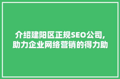 介绍建阳区正规SEO公司,助力企业网络营销的得力助手