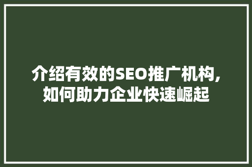介绍有效的SEO推广机构,如何助力企业快速崛起