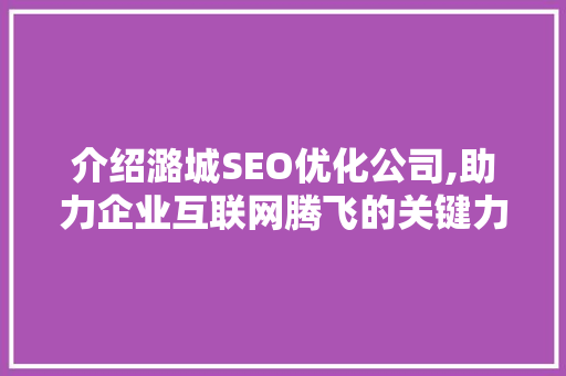 介绍潞城SEO优化公司,助力企业互联网腾飞的关键力量