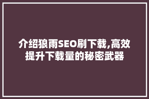 介绍狼雨SEO刷下载,高效提升下载量的秘密武器