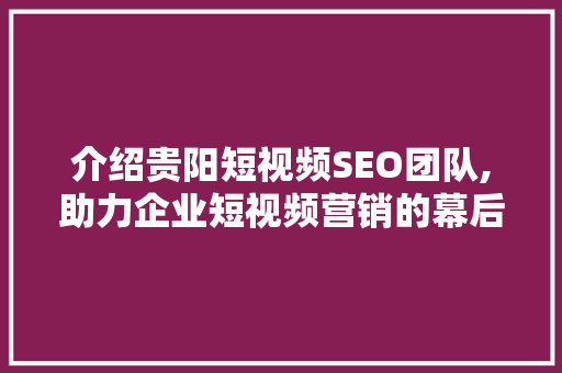 介绍贵阳短视频SEO团队,助力企业短视频营销的幕后力量
