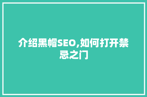 介绍黑帽SEO,如何打开禁忌之门