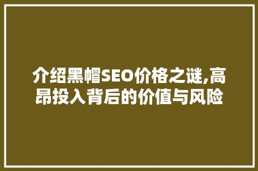 介绍黑帽SEO价格之谜,高昂投入背后的价值与风险