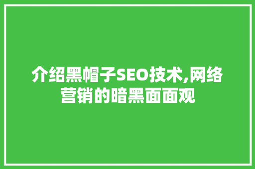 介绍黑帽子SEO技术,网络营销的暗黑面面观
