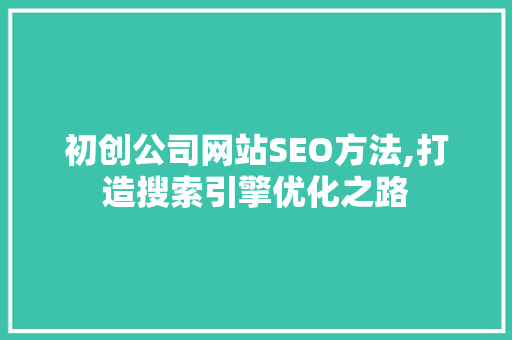 初创公司网站SEO方法,打造搜索引擎优化之路
