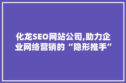 化龙SEO网站公司,助力企业网络营销的“隐形推手”