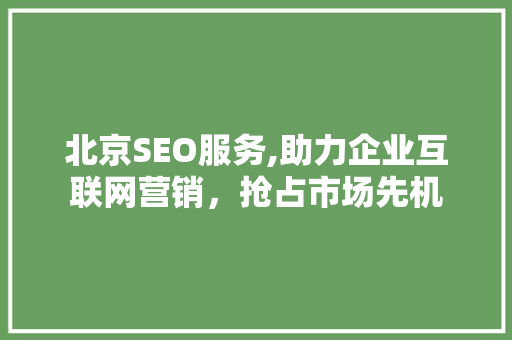 北京SEO服务,助力企业互联网营销，抢占市场先机
