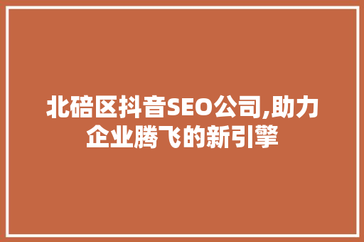北碚区抖音SEO公司,助力企业腾飞的新引擎