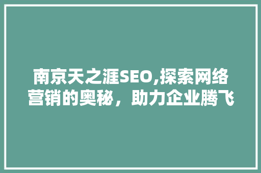 南京天之涯SEO,探索网络营销的奥秘，助力企业腾飞