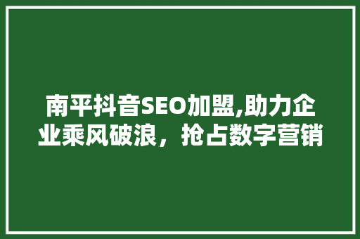 南平抖音SEO加盟,助力企业乘风破浪，抢占数字营销制高点