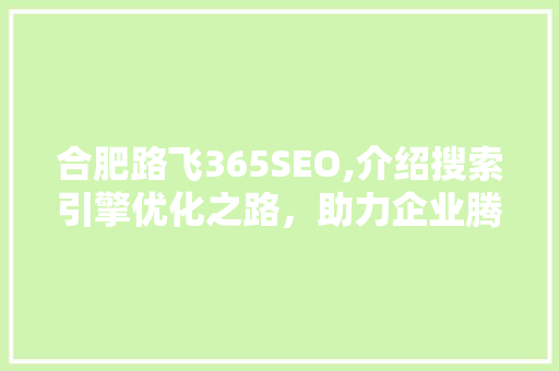 合肥路飞365SEO,介绍搜索引擎优化之路，助力企业腾飞
