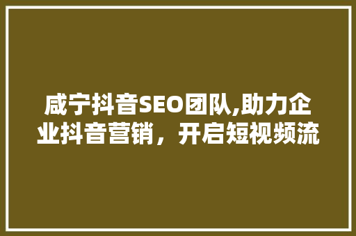 咸宁抖音SEO团队,助力企业抖音营销，开启短视频流量新纪元