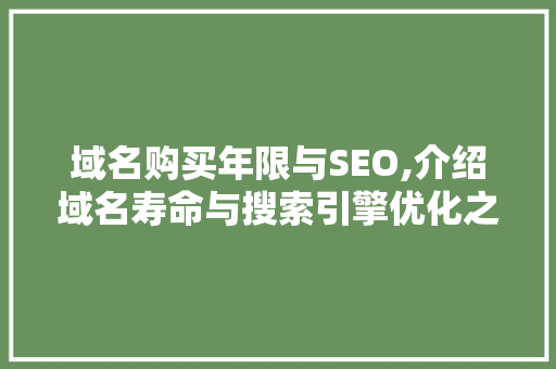 域名购买年限与SEO,介绍域名寿命与搜索引擎优化之间的奥秘 SEO教程