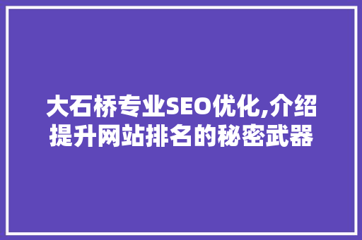 大石桥专业SEO优化,介绍提升网站排名的秘密武器