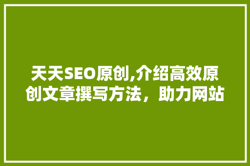 天天SEO原创,介绍高效原创文章撰写方法，助力网站优化