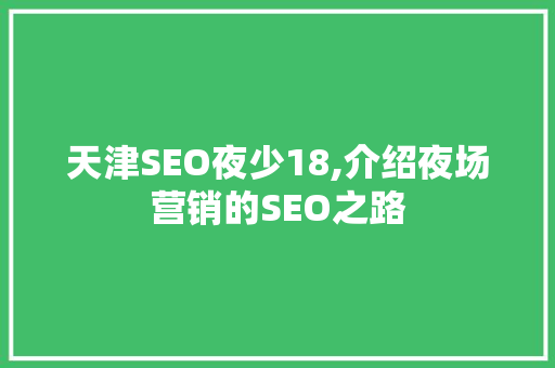天津SEO夜少18,介绍夜场营销的SEO之路