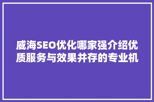 威海SEO优化哪家强介绍优质服务与效果并存的专业机构