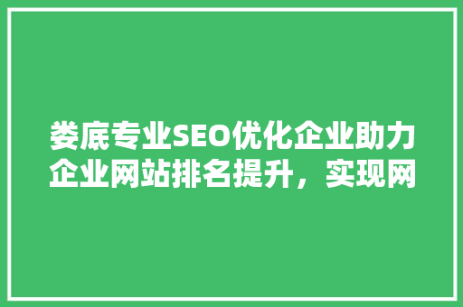 娄底专业SEO优化企业助力企业网站排名提升，实现网络营销新突破