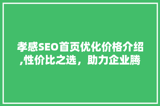 孝感SEO首页优化价格介绍,性价比之选，助力企业腾飞