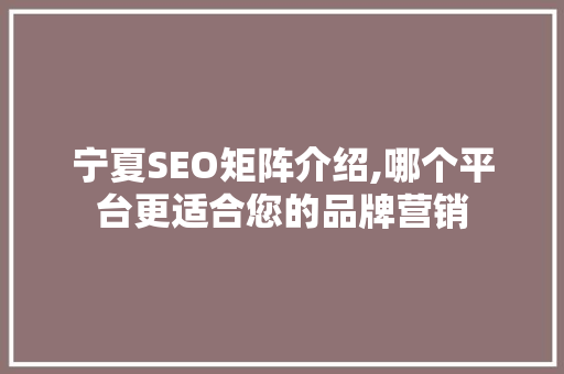 宁夏SEO矩阵介绍,哪个平台更适合您的品牌营销