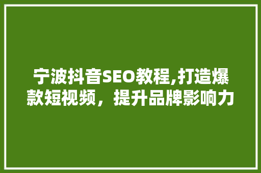 宁波抖音SEO教程,打造爆款短视频，提升品牌影响力 建站教程