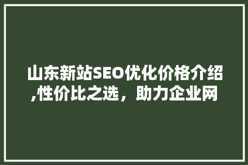 山东新站SEO优化价格介绍,性价比之选，助力企业网站腾飞