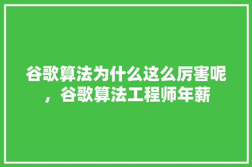谷歌算法为什么这么厉害呢，谷歌算法工程师年薪 WordPress教程