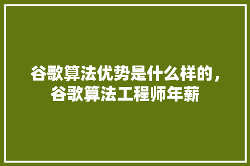 谷歌算法优势是什么样的，谷歌算法工程师年薪