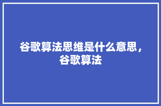 谷歌算法思维是什么意思，谷歌算法