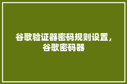 谷歌验证器密码规则设置，谷歌密码器