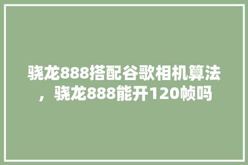 骁龙888搭配谷歌相机算法，骁龙888能开120帧吗 SEO教程