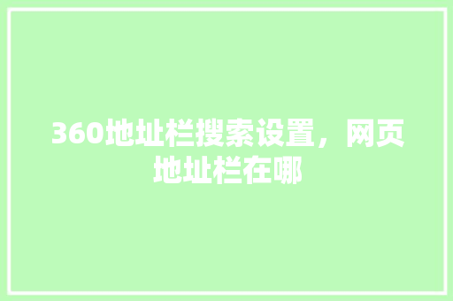 360地址栏搜索设置，网页地址栏在哪