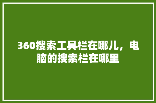 360搜索工具栏在哪儿，电脑的搜索栏在哪里
