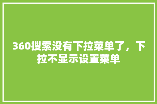 360搜索没有下拉菜单了，下拉不显示设置菜单