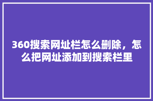 360搜索网址栏怎么删除，怎么把网址添加到搜索栏里