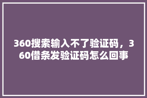 360搜索输入不了验证码，360借条发验证码怎么回事