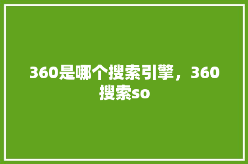 360是哪个搜索引擎，360搜索so