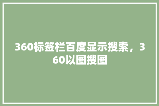 360标签栏百度显示搜索，360以图搜图