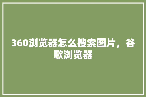 360浏览器怎么搜索图片，谷歌浏览器 服务器/数据库
