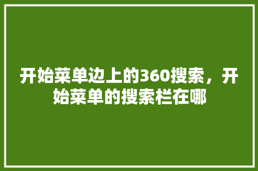 开始菜单边上的360搜索，开始菜单的搜索栏在哪