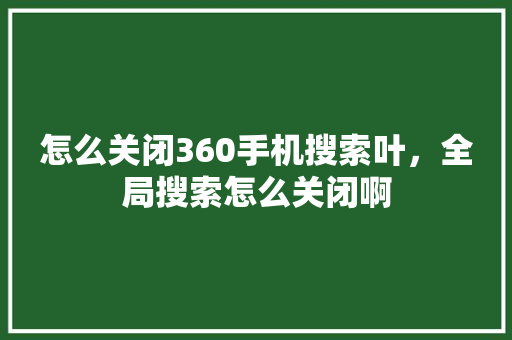 怎么关闭360手机搜索叶，全局搜索怎么关闭啊