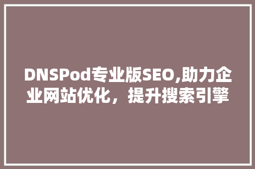 DNSPod专业版SEO,助力企业网站优化，提升搜索引擎排名