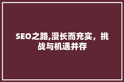 SEO之路,漫长而充实，挑战与机遇并存