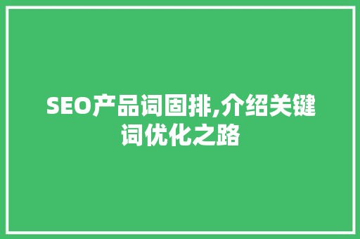 SEO产品词固排,介绍关键词优化之路