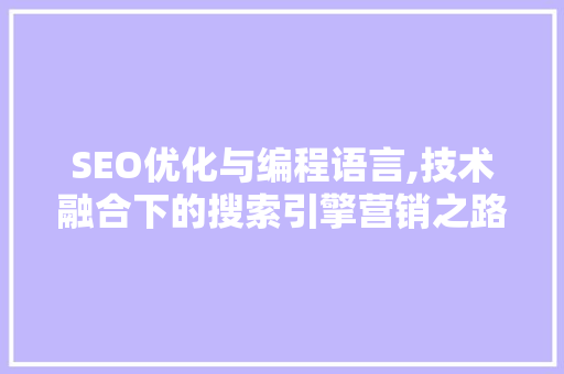 SEO优化与编程语言,技术融合下的搜索引擎营销之路