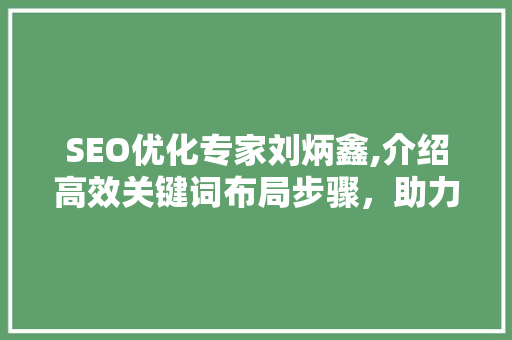 SEO优化专家刘炳鑫,介绍高效关键词布局步骤，助力网站排名提升