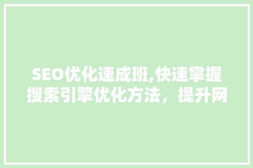 SEO优化速成班,快速掌握搜索引擎优化方法，提升网站排名